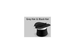 SEO Gray Hat, Black Hat y Penalizaciones – Alex Navarro