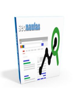 Seonautas Posicionar un Proyecto Online