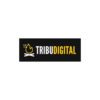 Curso Tribu Digital – Curso de Alex Berezowsky