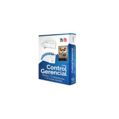 Control Gerencial – curso de FundaPymes