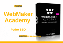 Curso WebMaker Academy – Pedro SEO