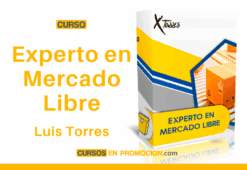 Curso Experto en MercadoLibre – Luis Torres