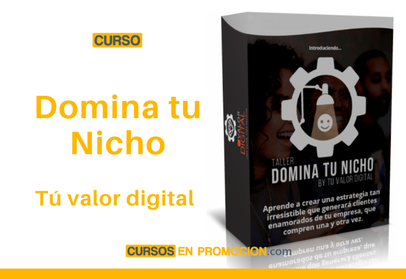 Curso Taller Domina tu Nicho – Tu Valor Digital