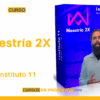 Maestría 2X – instituto 11